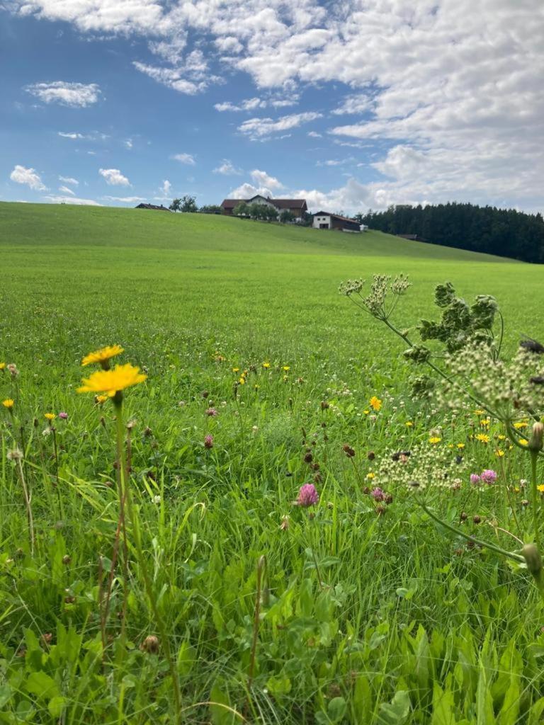 Plattenberger Hof Bauernhof Waging am See